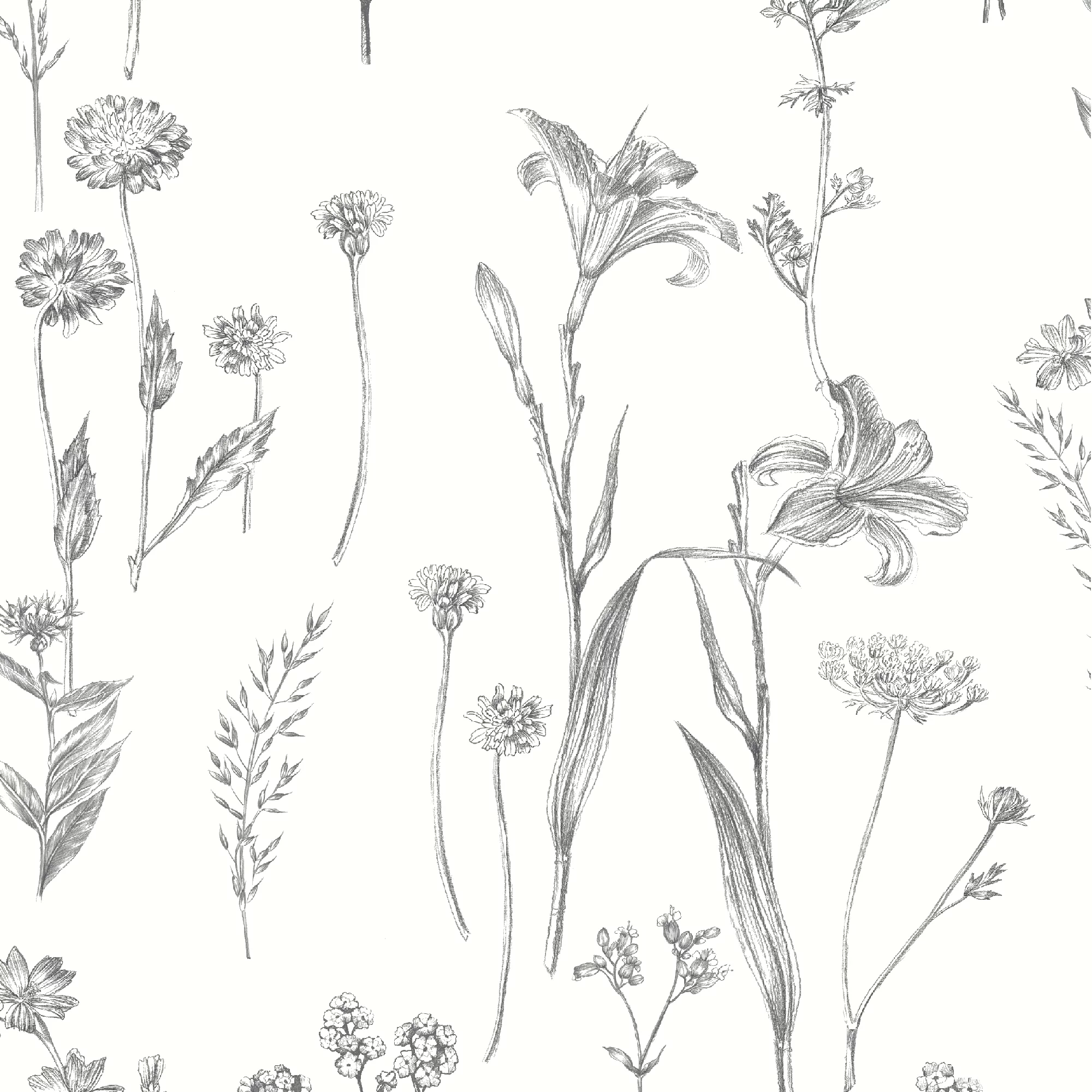 GoodHome Conyza Grey & White Floral Textured Wallpaper 4 GoodHome Conyza Grey & White Floral Textured Wallpaper - Image 2
