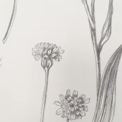 GoodHome Conyza Grey & White Floral Textured Wallpaper 8 GoodHome Conyza Grey & White Floral Textured Wallpaper -Trade point goodhome conyza grey white floral textured wallpaper3663602561392 37c