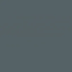 GoodHome Mid Grey Satin Floor Wood Varnish, 2.5L 11 GoodHome Mid Grey Satin Floor Wood Varnish, 2.5L -Trade point goodhome mid grey satin floor wood varnish 2 5l5059340487014 36c